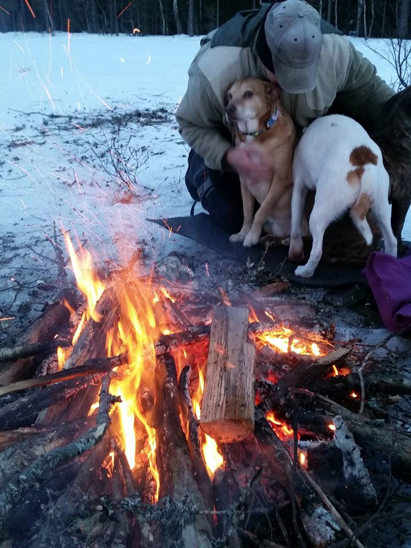 ski dog 10