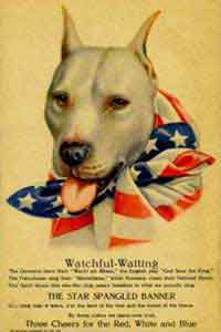 watchfulwaiting