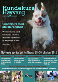 Hundekurs Høyvang 